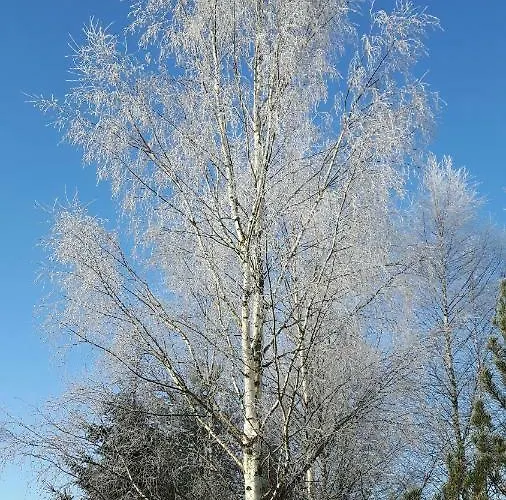 Simon Tupa * Kauhajoki