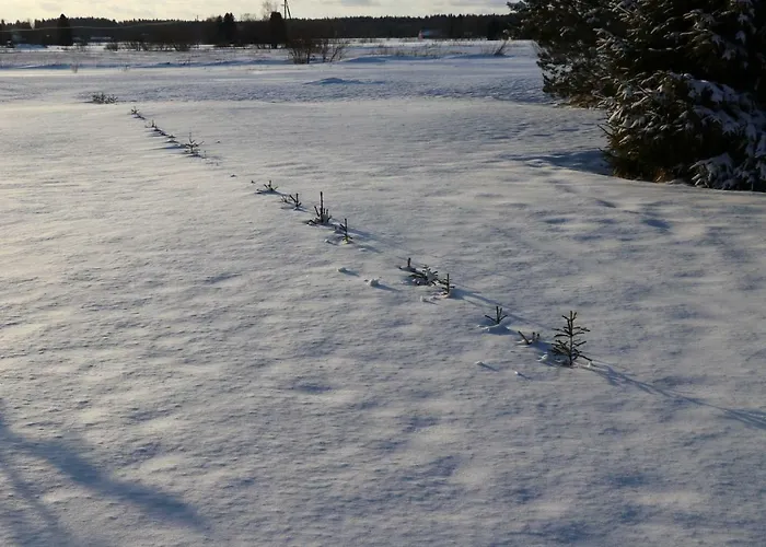 Simon Tupa בית כפרי Kauhajoki